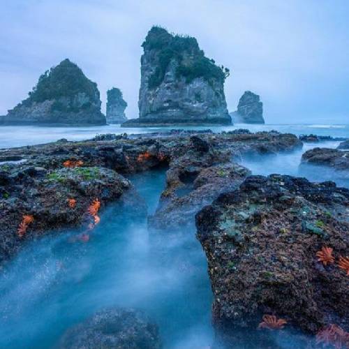 درخت بیدم و تنهای تنها مثل جوونی که لیلایی ندارم